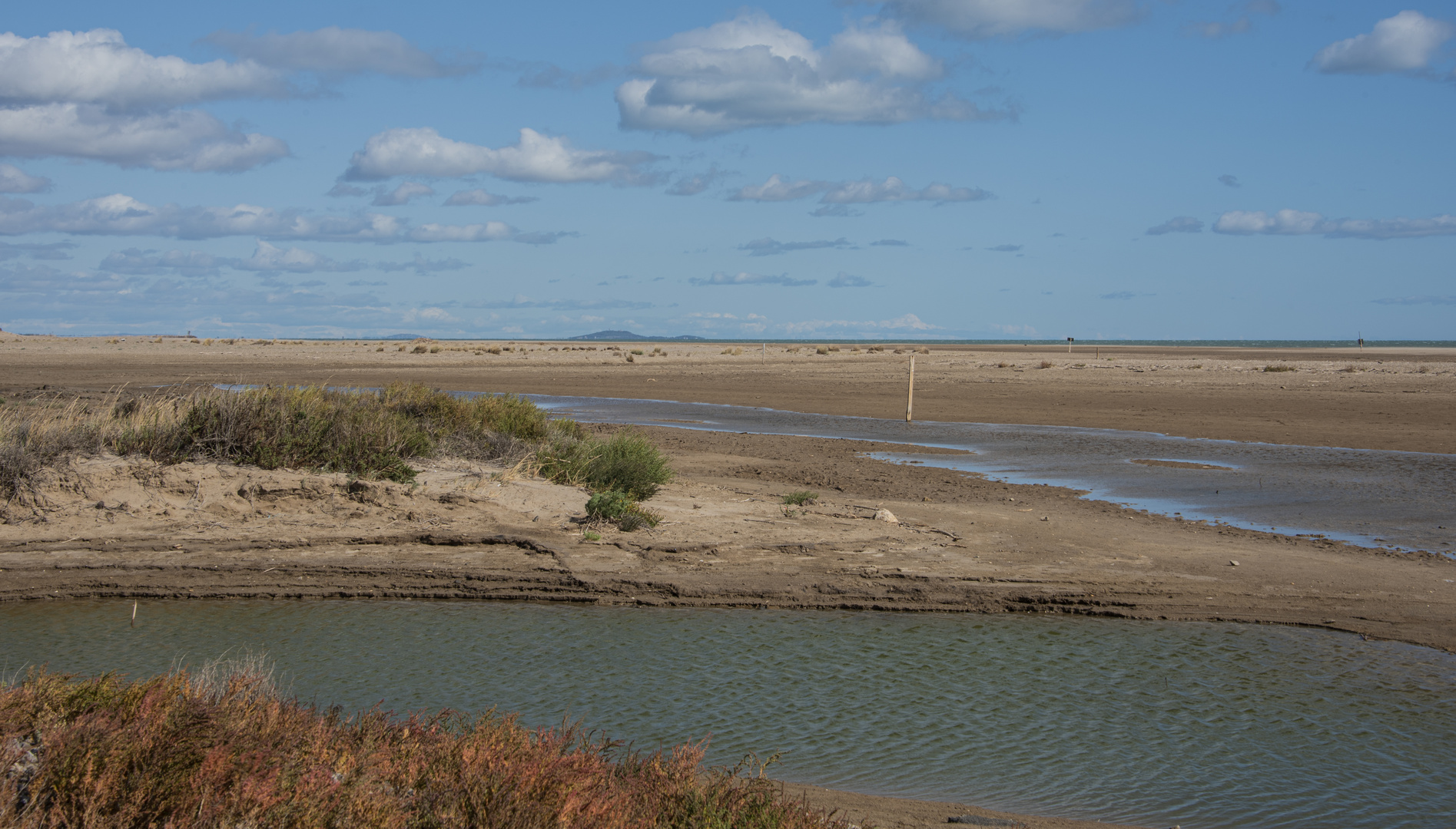 je suis né pour vivre au bord de la mer