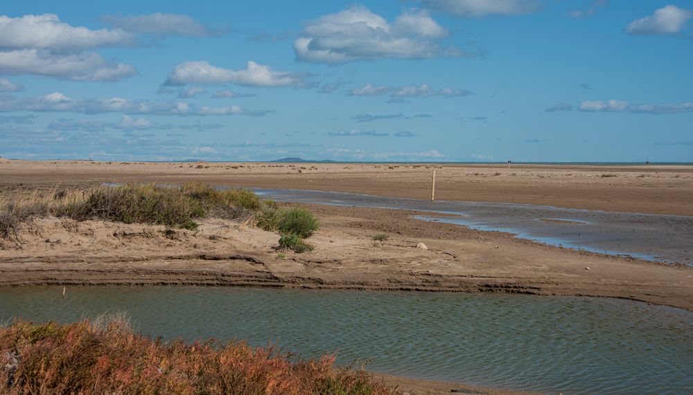 je suis né pour vivre au bord de la mer