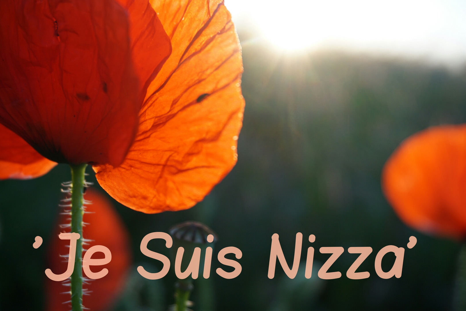 " Je Suis Nizza "