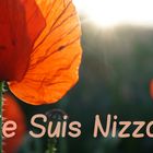 " Je Suis Nizza "