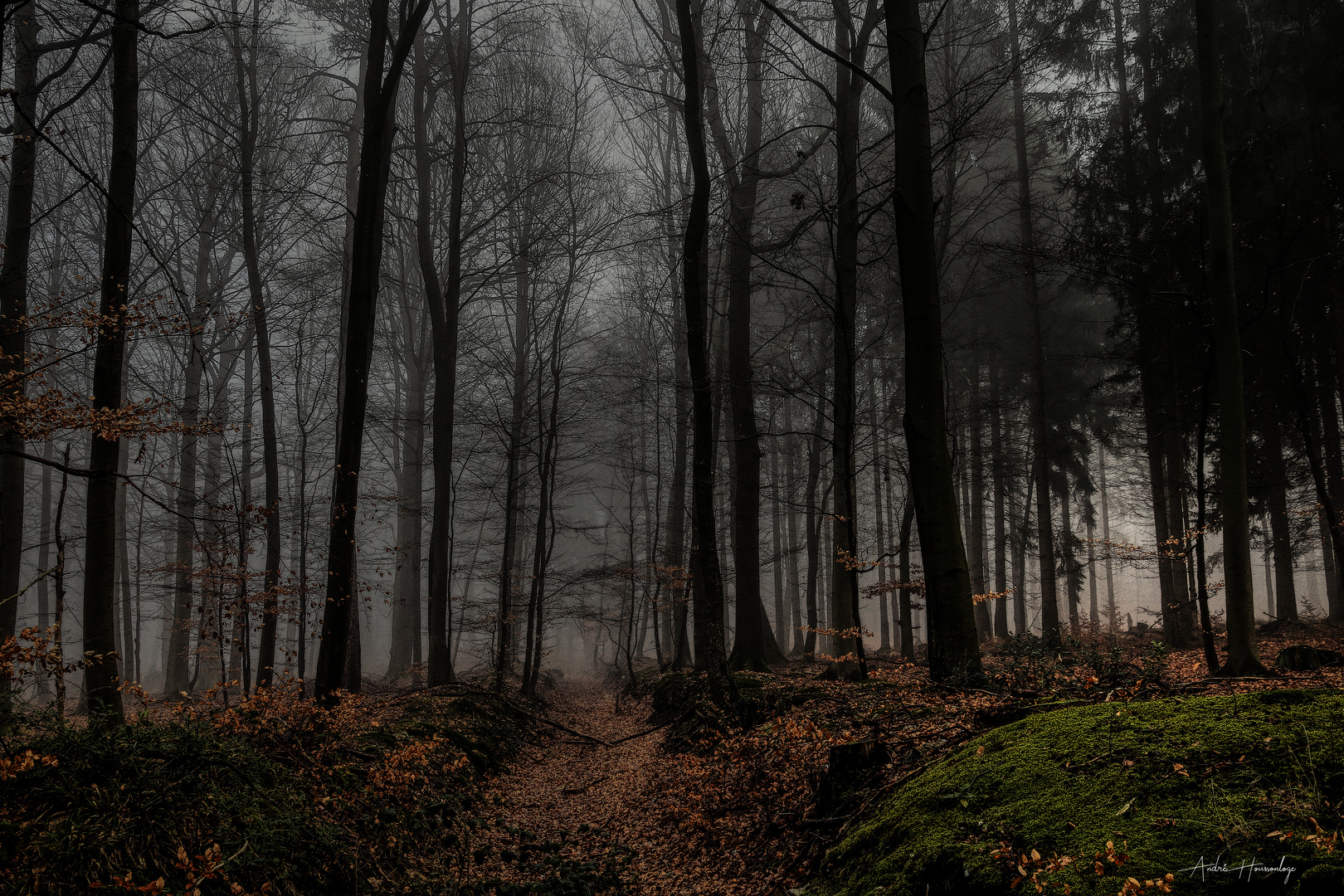 Je suis un chemin perdu dans la brume