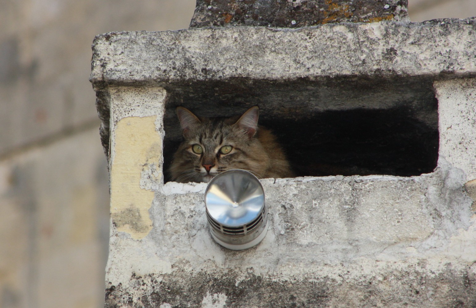 Je te vois mais tu me vois pas/ I can see you but you can’t see me