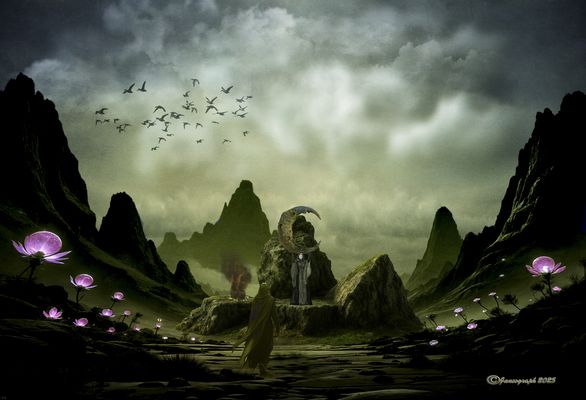 Je t'offrirai la lune