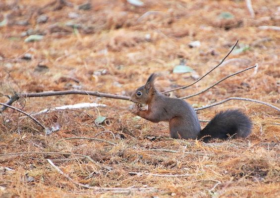 je vais me régaler !