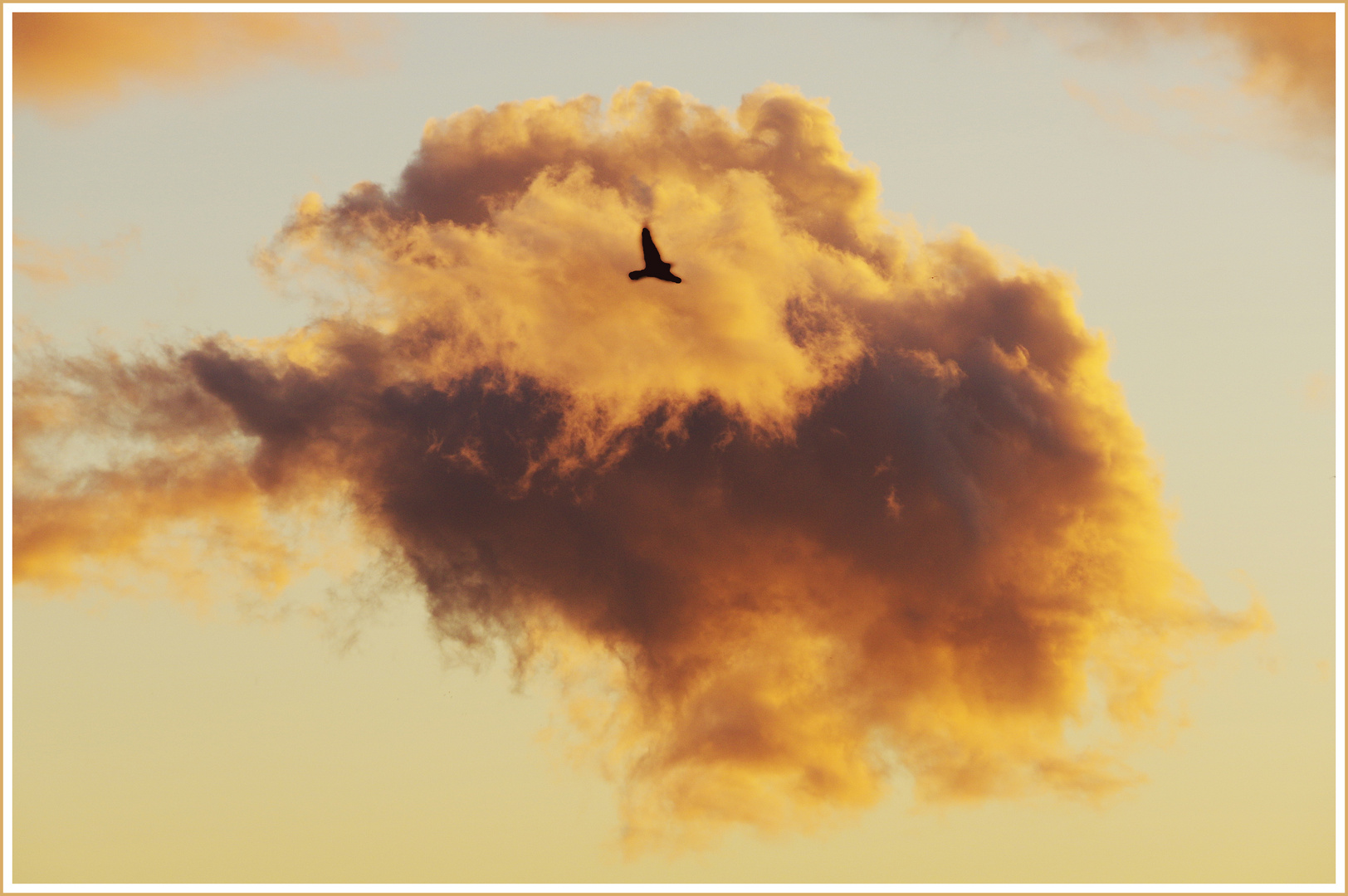 je vole sur un petit nuage ...et je   dis  un grand merci 