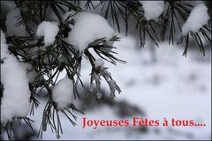 Je vous souhaite à tous un Joyeux Noël.....