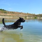 Je weiter der Flug umso weniger muss man Schwimmen