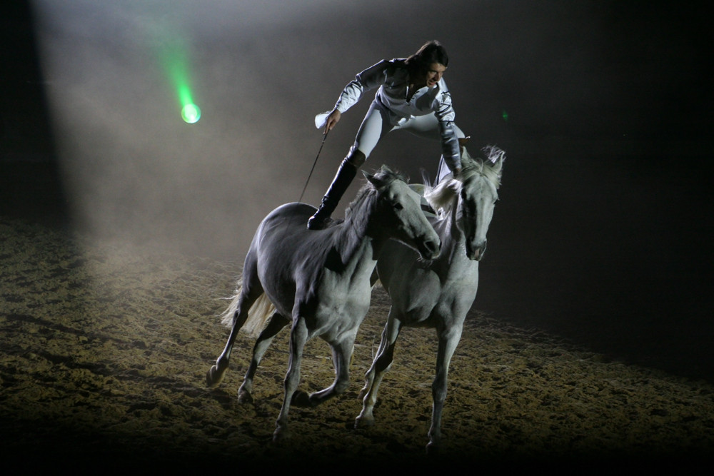 Jean Francois Pignon - Royal Horse Gala 2008