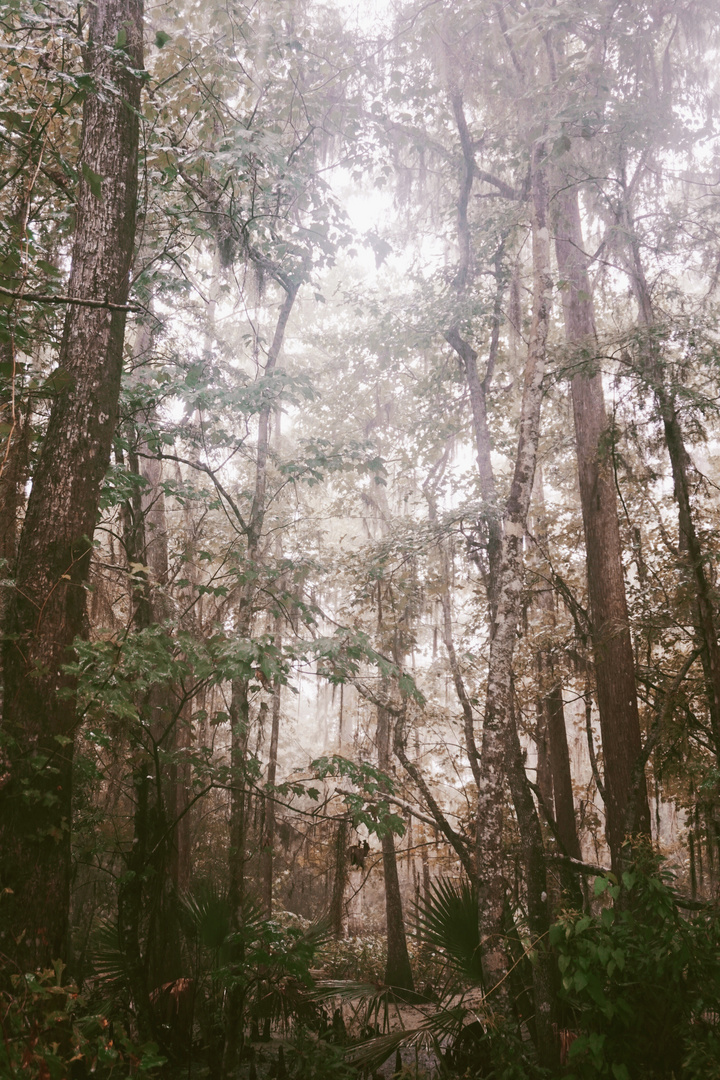 jean lafitte national historical park and preserve