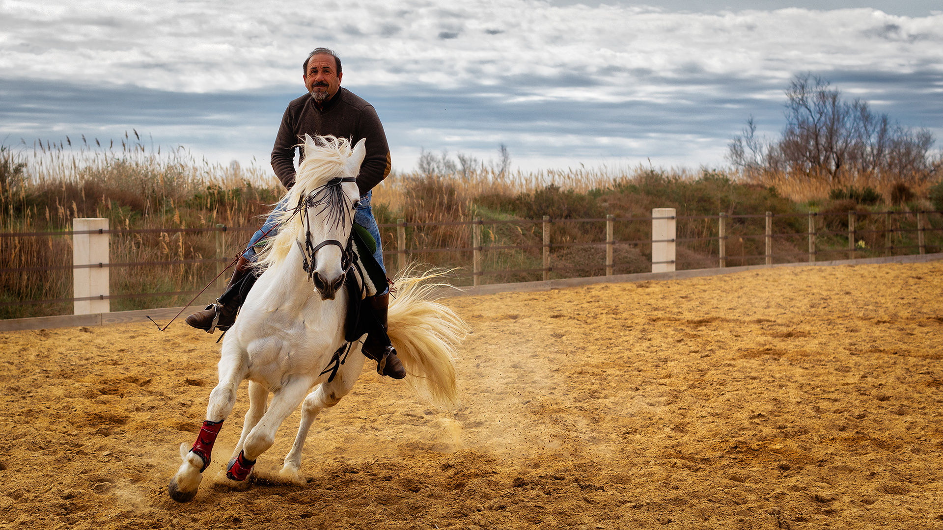 Jean-Paul Piéri und sein tolles Pferd "Argan"