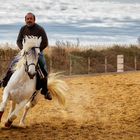 Jean-Paul Piéri und sein tolles Pferd "Argan"