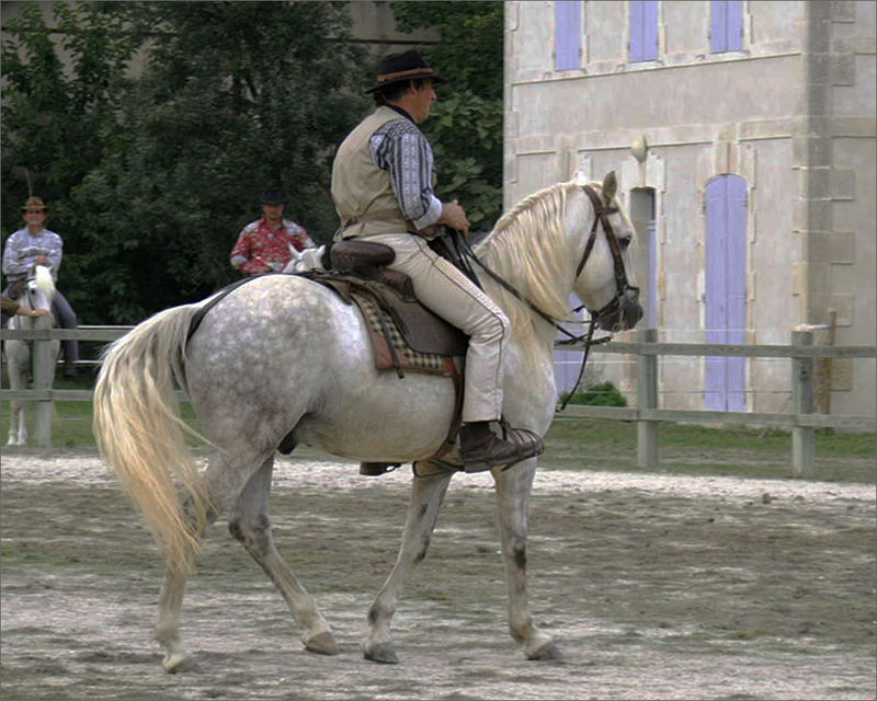 Jean Pierre Godest und Lucca