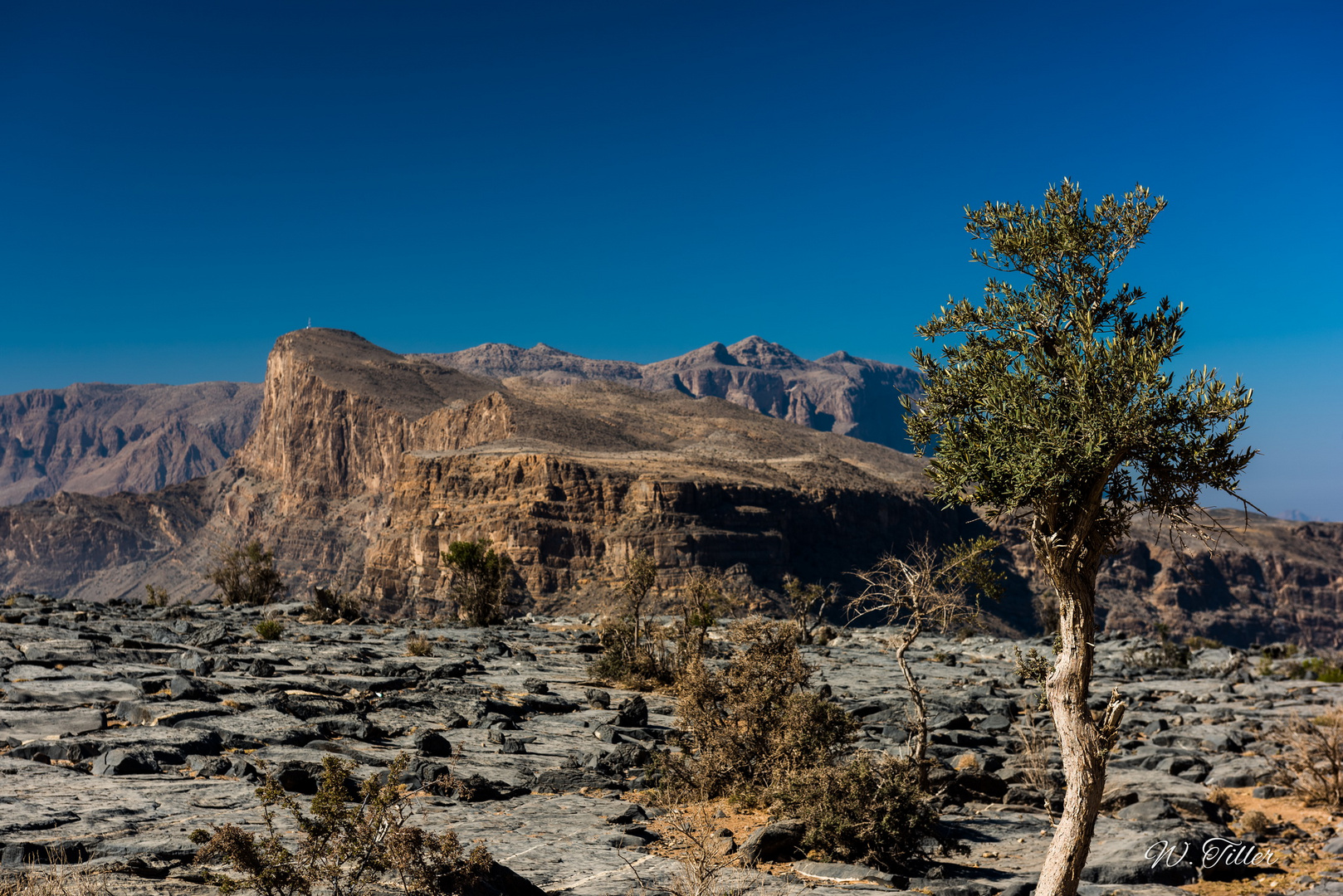 Jebel Akhdar