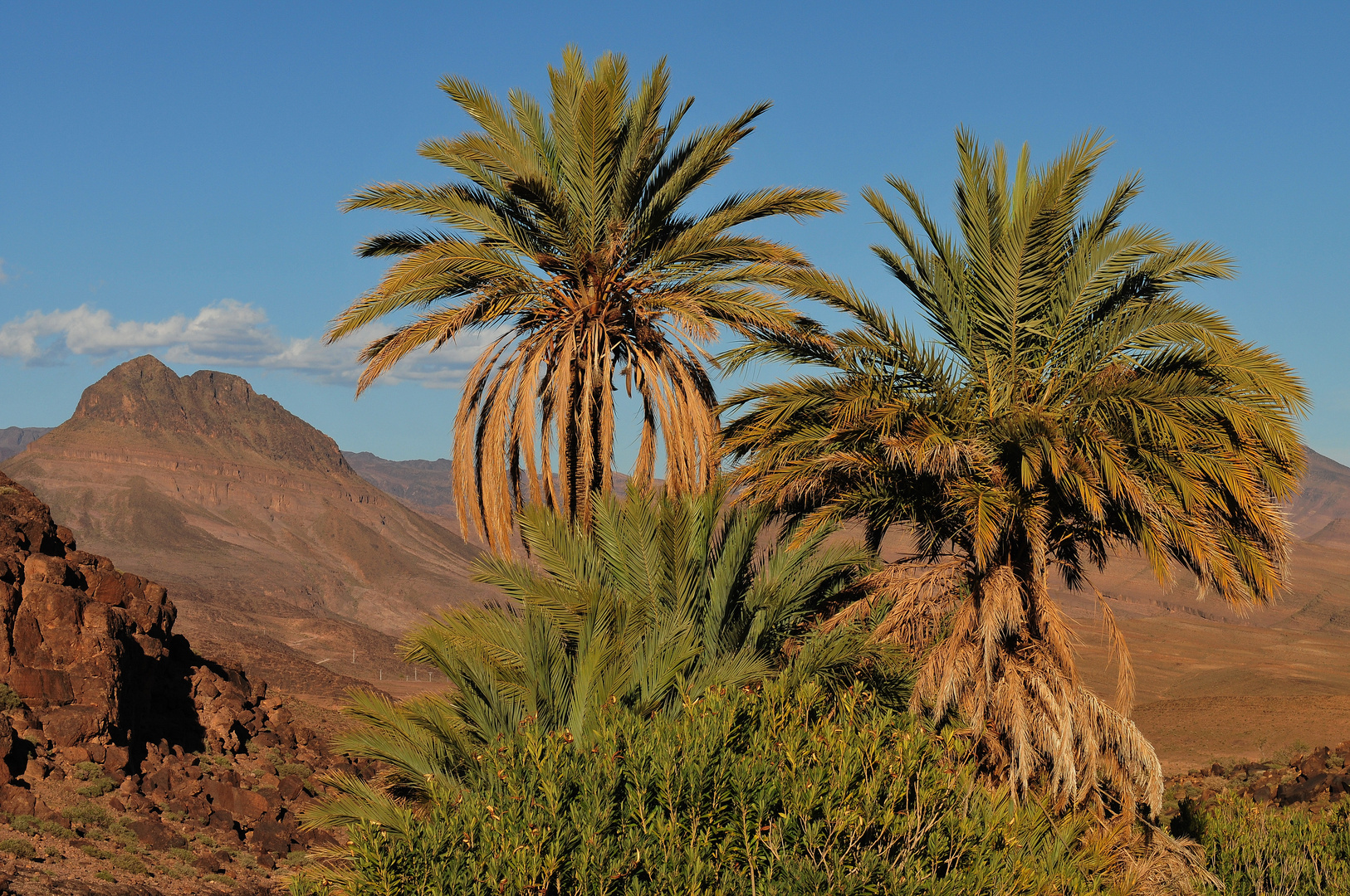 Jebel Saghro