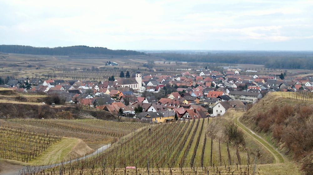 Jechtingen am Kaiserstuhl ~ Dorfzentrum