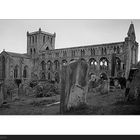 Jedburgh Abbey (1)