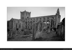 Jedburgh Abbey (1)