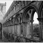 Jedburgh Abbey (3)