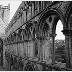 Jedburgh Abbey (3)