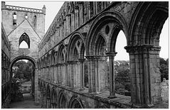 Jedburgh Abbey (3)