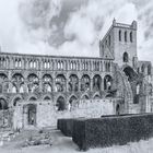 Jedburgh Abbey