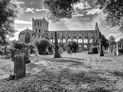 Jedburgh Abbey 