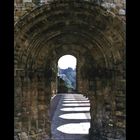 Jedburgh Abbey