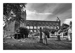 Jedburgh Abbey II