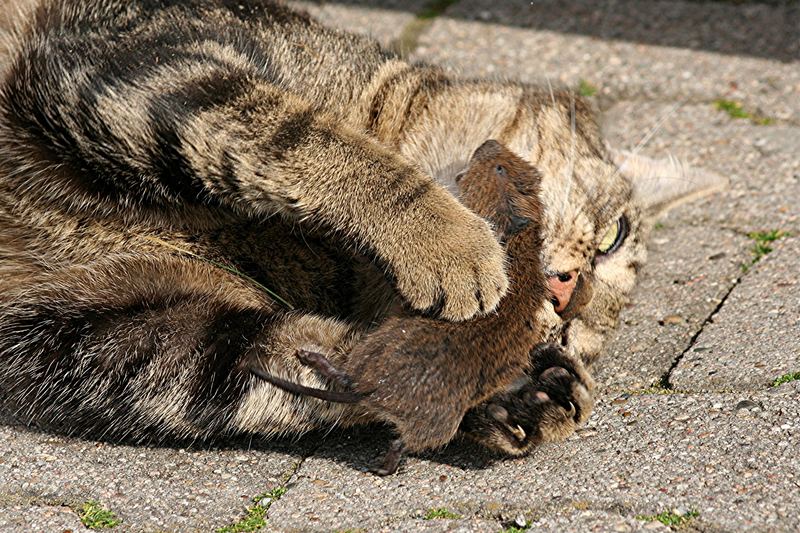 Jede Hilfe kommt zu spät!