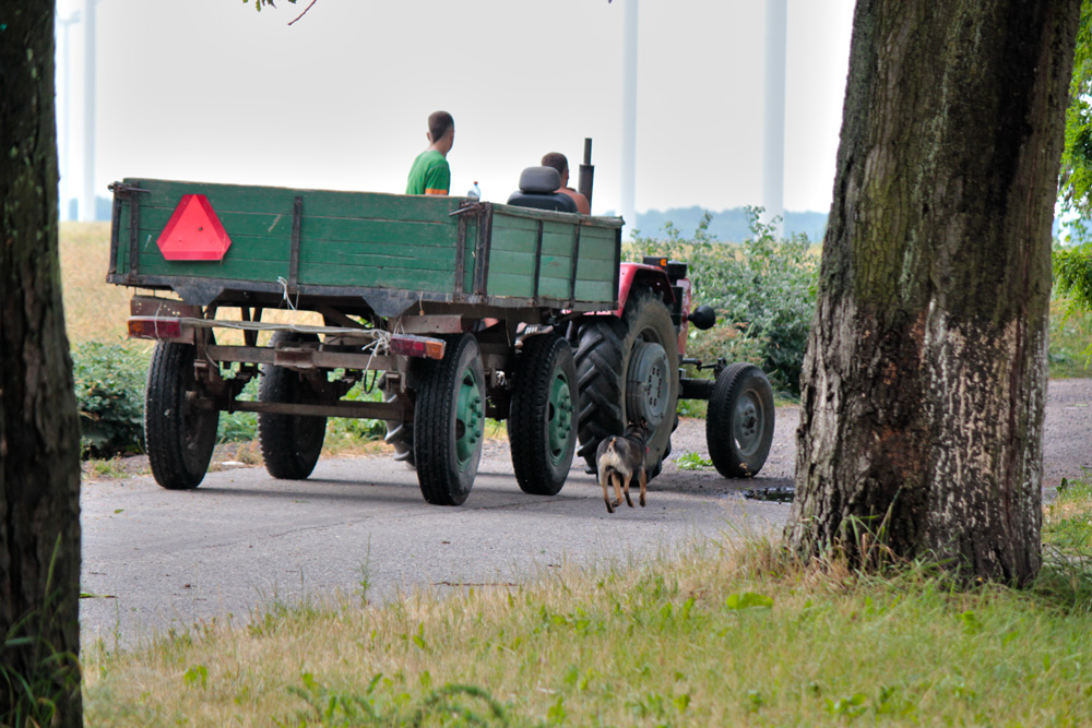 Jede Hilfe wird gebraucht