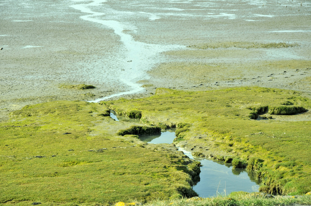 Jede Landschaft hat ihre eigene, besondere Seele.