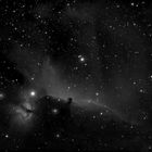 Jede Menge reiner Wasserstoff - IC 434 im Orion