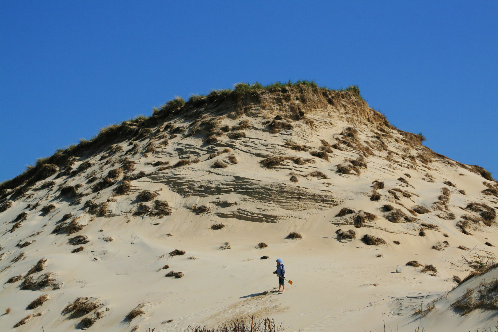 Jede Menge zu tun - In den Dünen auf Amrum