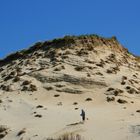 Jede Menge zu tun - In den Dünen auf Amrum