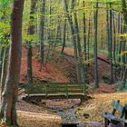 jedem sein Herbst.- die Brücke