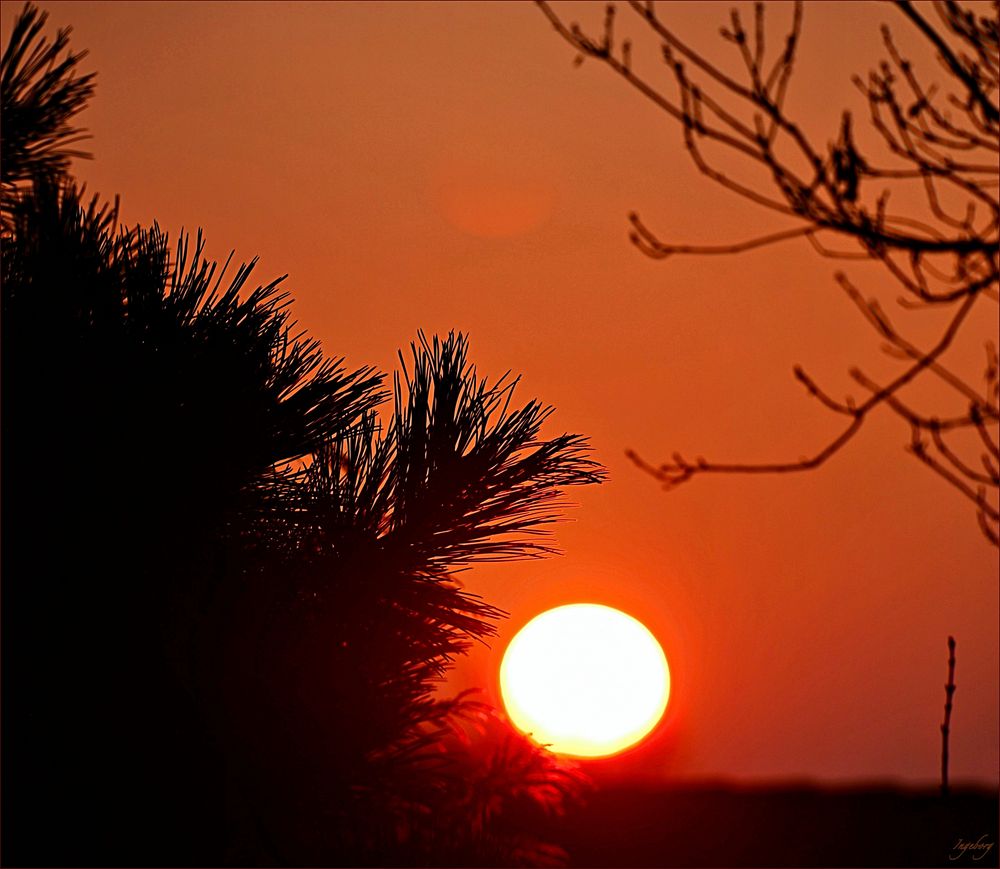 jeden Morgen geht die Sonne auf