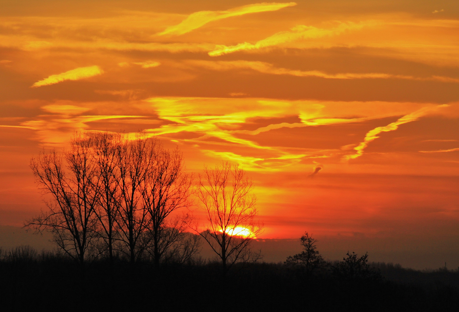 "Jeden Morgen geht die Sonne auf......."