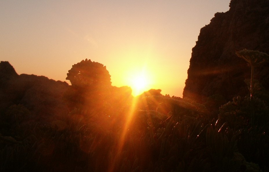 Jeden Tag geht die Sonne auf