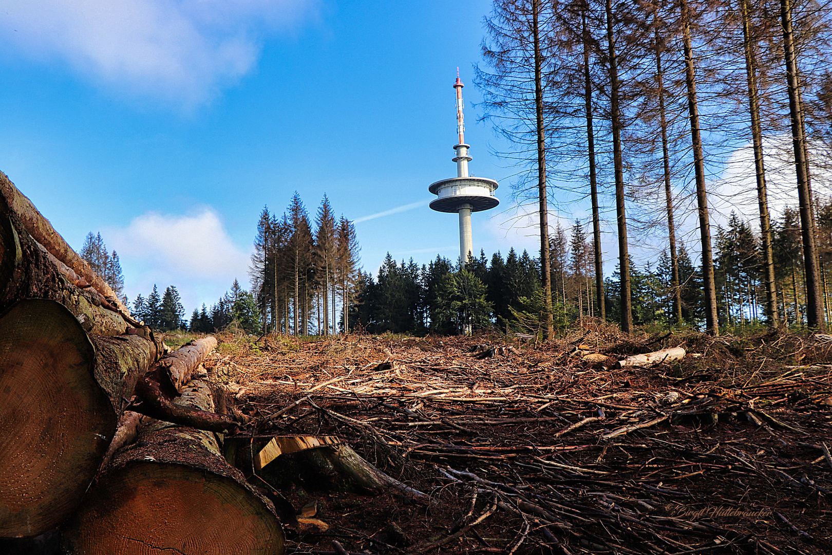 Jeden Tag neue Aussichten