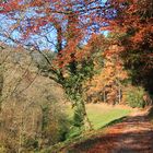 Jedensbachtal...Herbstspaziergang am Vormittag