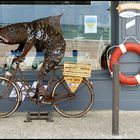 JEDER fährt Fahrrad ...