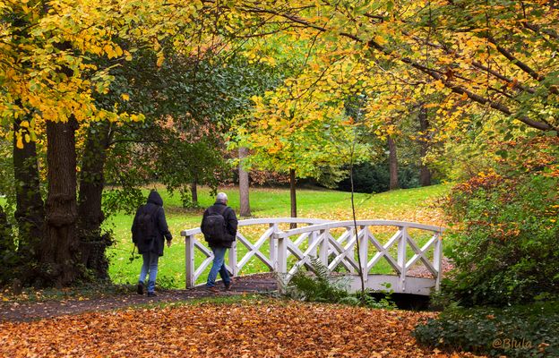 Jeder findet hier eine ruhige Ecke ....