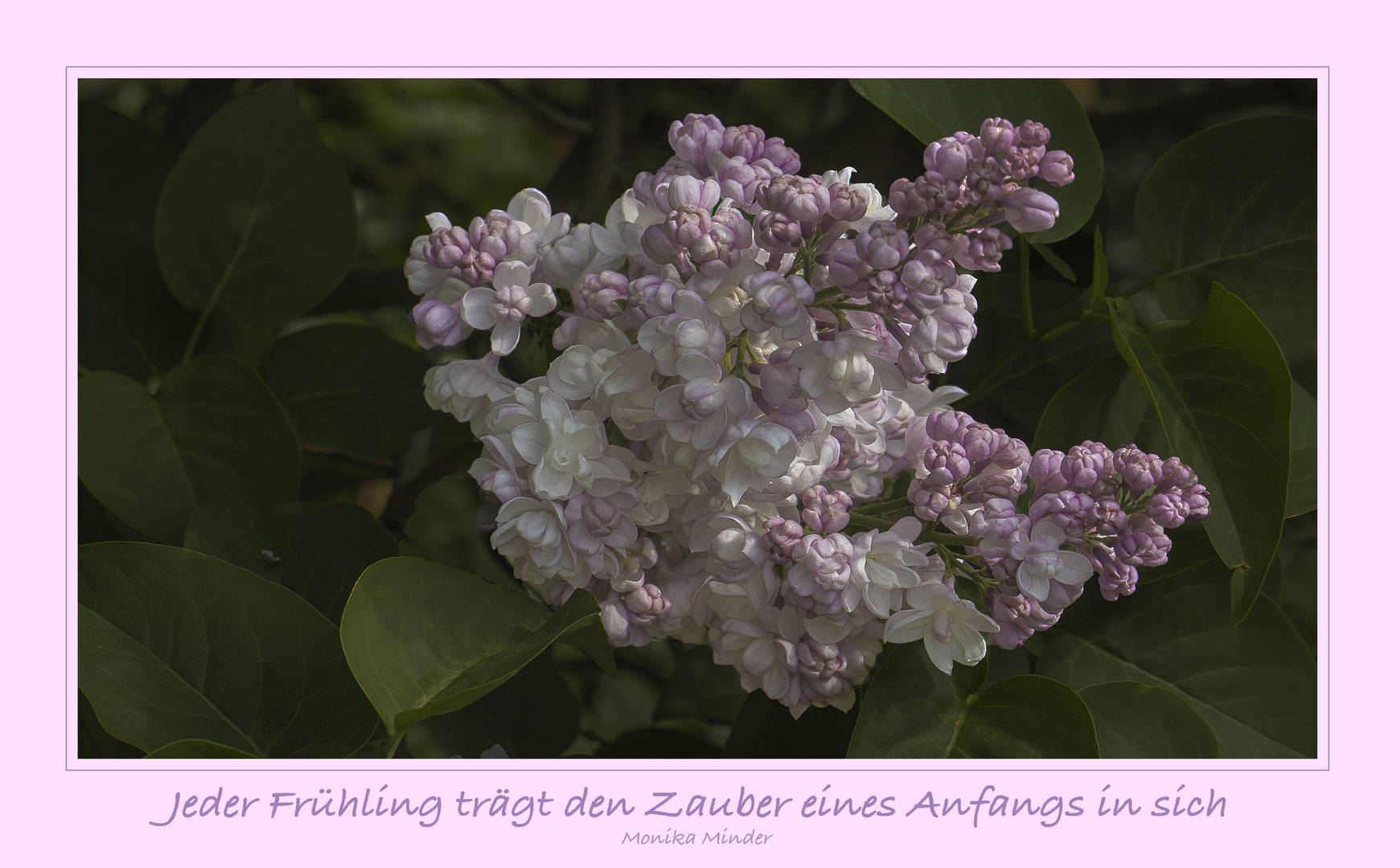 JEDER FRÜHLING ...