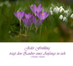 *Jeder Frühling....*