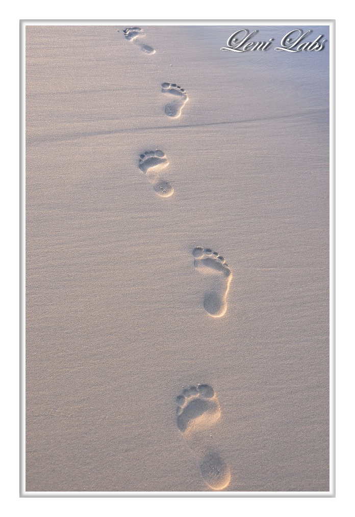 Get Jeder geht weg seine Desktop Wallpaper Jeder Geht Weg Seine