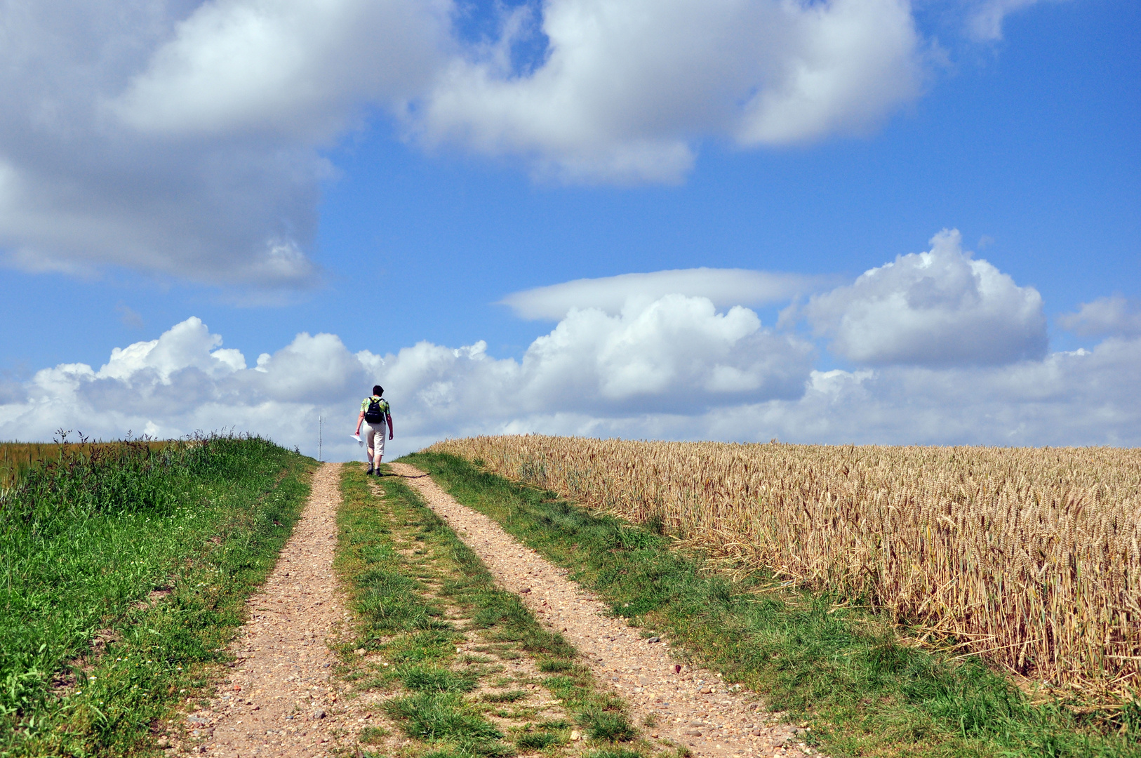 Get Jeder geht seinen weg Desktop Wallpaper