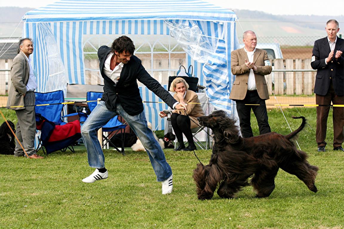 Jeder hat den Hund der zu ihm passt