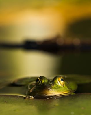 jeder hat die Liebste gefunden ...