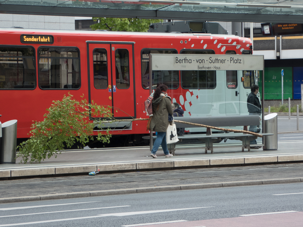 Jeder hat sein Bäumchen zu tragen