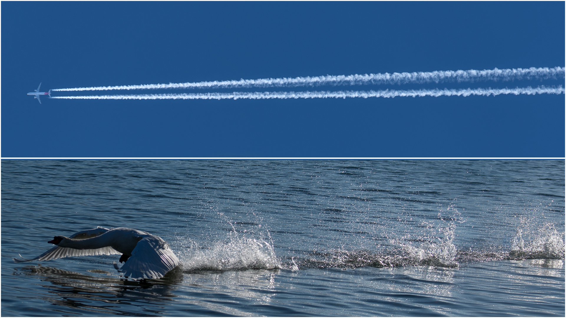 Jeder hinterlässt seine Spuren, nicht nur beim Surfen im Netz!